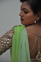Sufi Sayyad Gallery